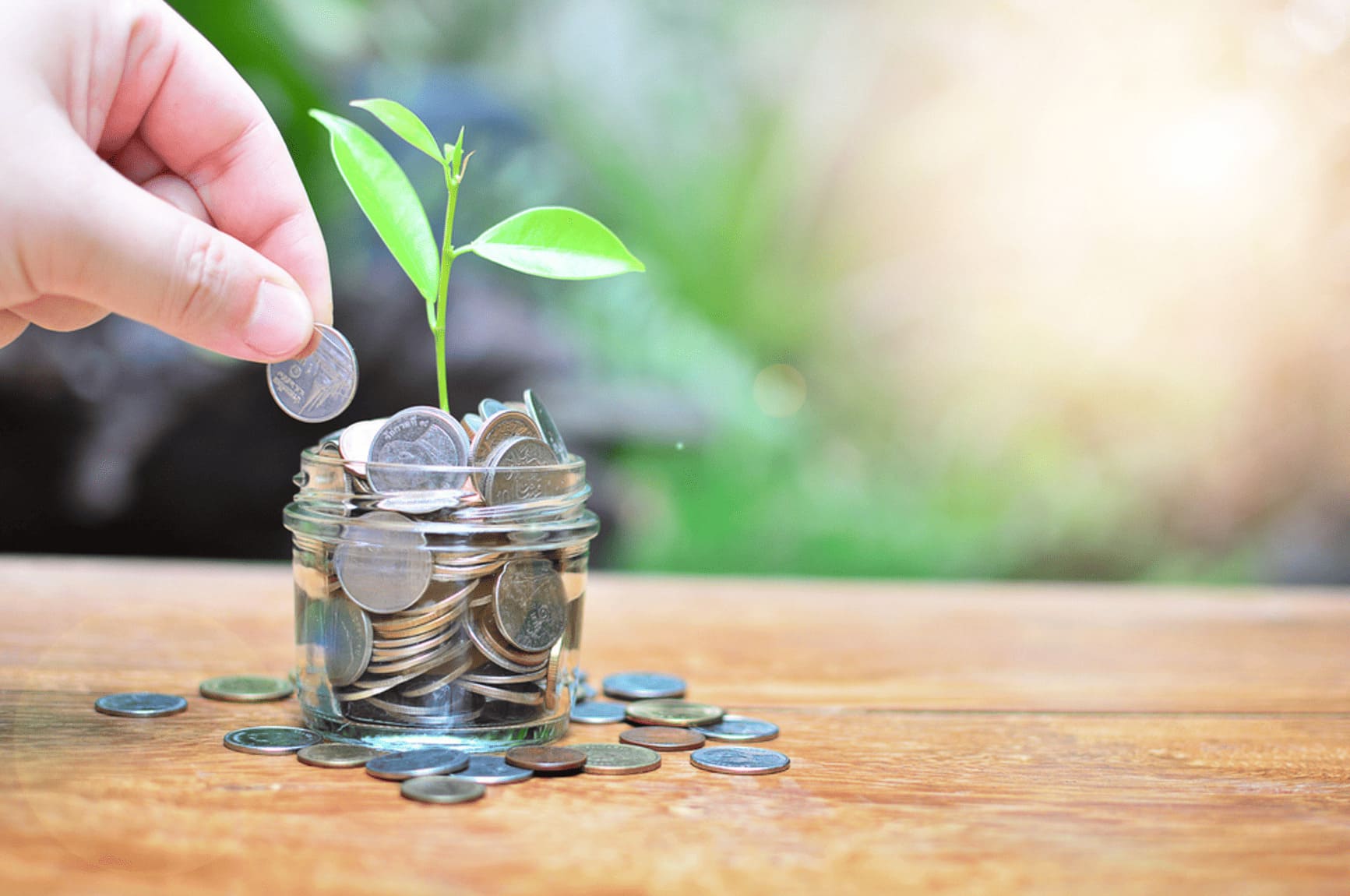 Best High-Yield Savings Accounts
