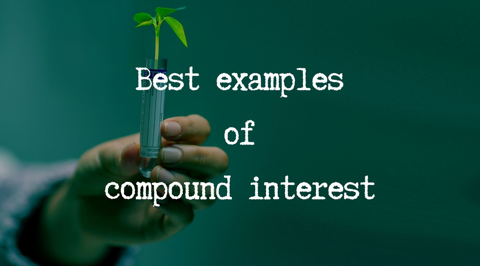 What Is Compound Interest